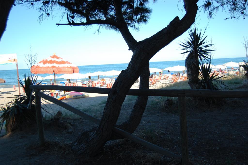 Hotel Jean Pierre Pineto Εξωτερικό φωτογραφία
