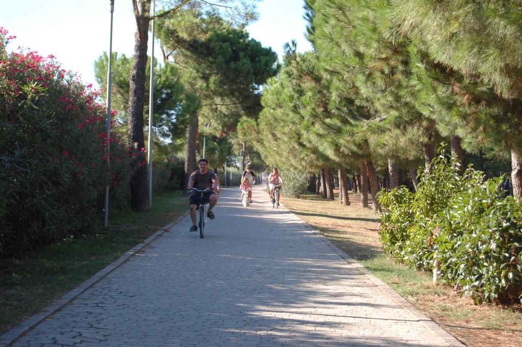 Hotel Jean Pierre Pineto Εξωτερικό φωτογραφία