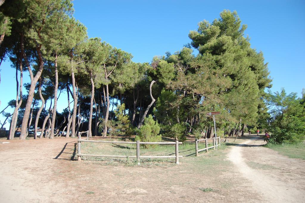 Hotel Jean Pierre Pineto Εξωτερικό φωτογραφία