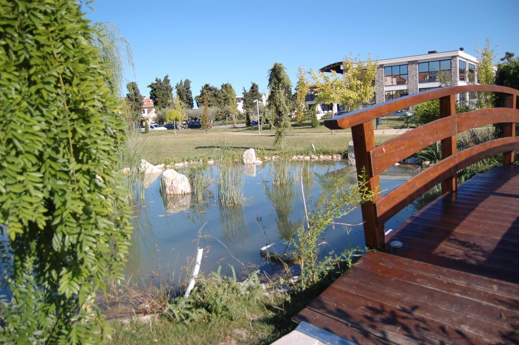 Hotel Jean Pierre Pineto Εξωτερικό φωτογραφία