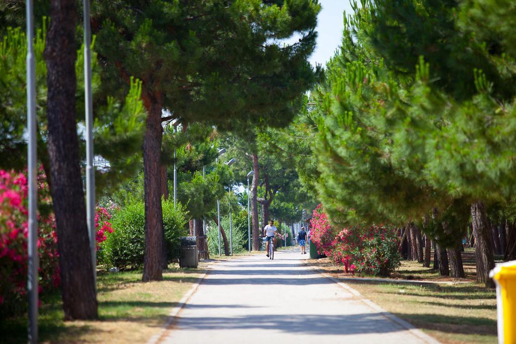 Hotel Jean Pierre Pineto Εξωτερικό φωτογραφία