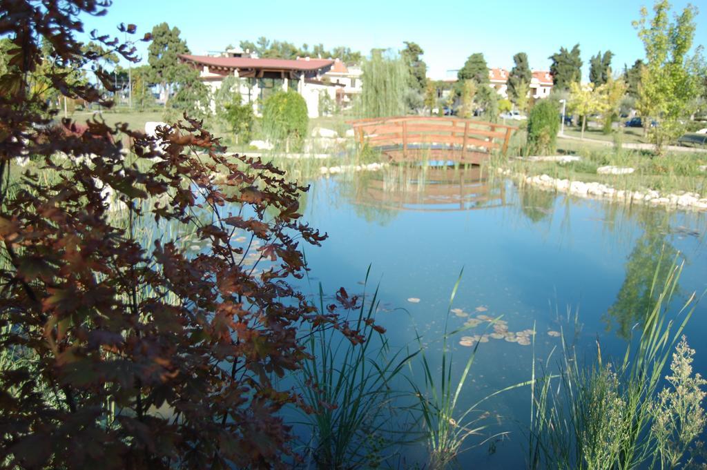 Hotel Jean Pierre Pineto Εξωτερικό φωτογραφία